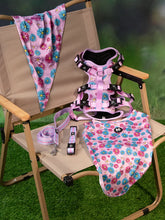 Candy Daisy Parade Combo